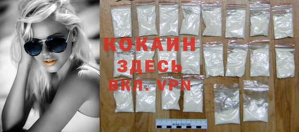 индика Абаза