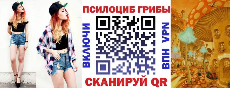 MEGA ССЫЛКА  Усть-Лабинск  Галлюциногенные грибы Psilocybine cubensis  где купить  