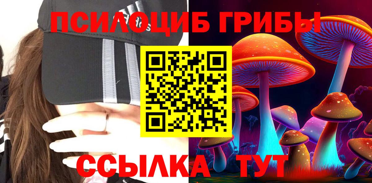 закладка  Псилоцибиновые грибы Psilocybe  Вход с VPN  Галлюциногенные грибы прущие грибы  Усть-Лабинск 