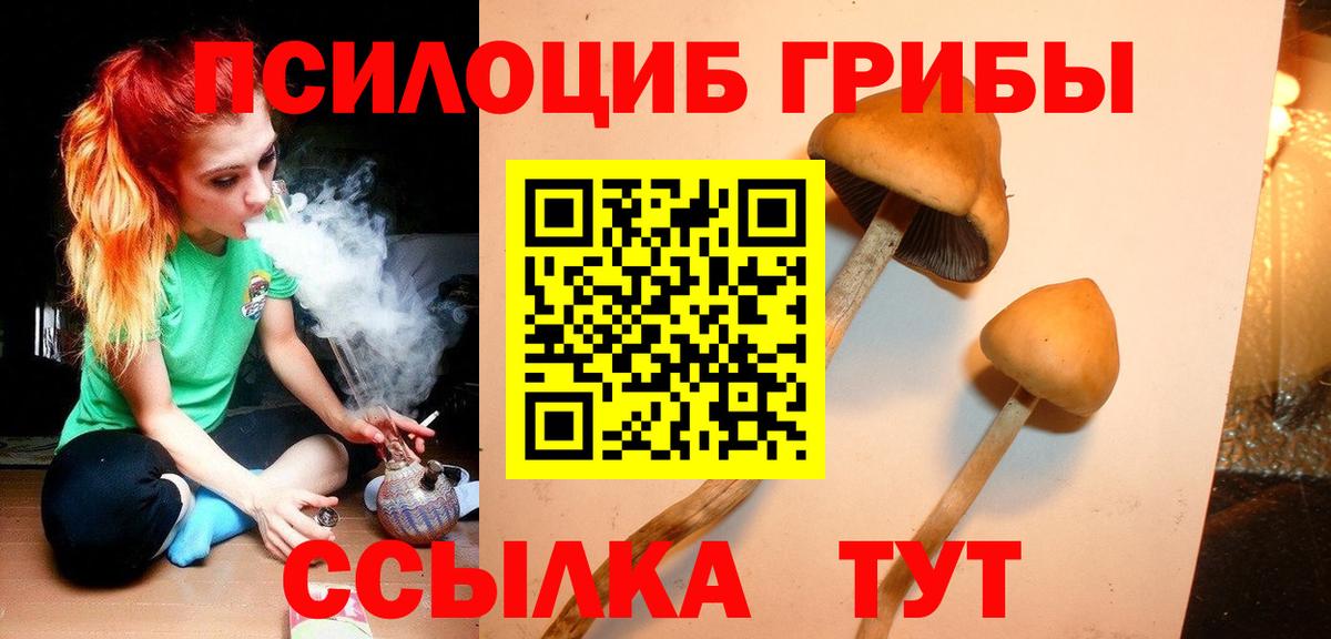 Псилоцибиновые грибы MAGIC MUSHROOMS Усть-Лабинск